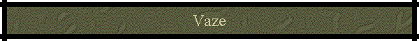 Vaze